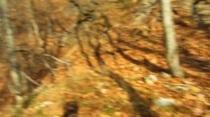 Высокая радиация в восточной части горы Бештау