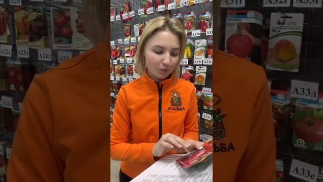 Высокорослые томаты для теплицы | Обзор сортов