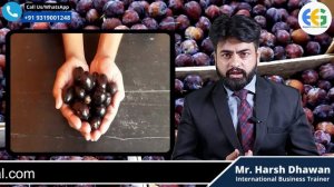 How To Export Java Plum From India | Jamun Export From India | Best Product To Export From India