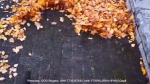 Аккумуляторная воздуходувка BOSCH GBL 18V-120 (06019F5100) Обзор. Плюсы и минусы