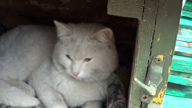 Как мы делаем ворота, видеоотчет! смотреть онлайн