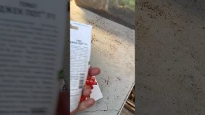 Разочарование. (( А вы покупали фирму Партнёр томаты? Реальные отзывы.