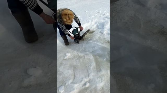 Пиление майны для ловли рыбы ч1