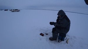 Одна БЛЕСНА ловила СУДАКОВ в этот день! Зимняя рыбалка на ВОДОХРАНИЛИЩЕ ! День 1!