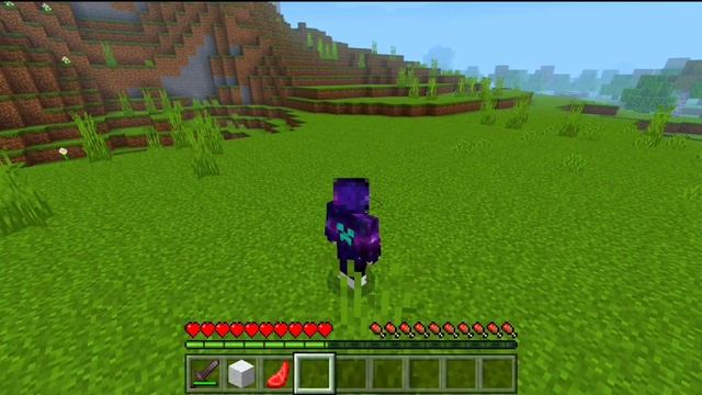 ?МОД НА ПРЕВРАЩЕНИЕ В МОБОВ ДЛЯ MINECRAFT PE 1.19 | Morph В Майнкрафт пе смотреть онлайн