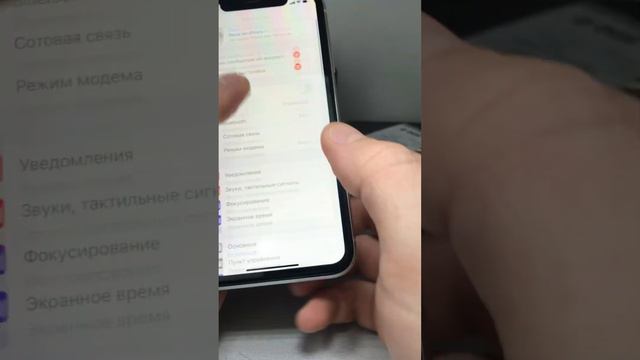 5 февраля 2024 г. смотреть онлайн