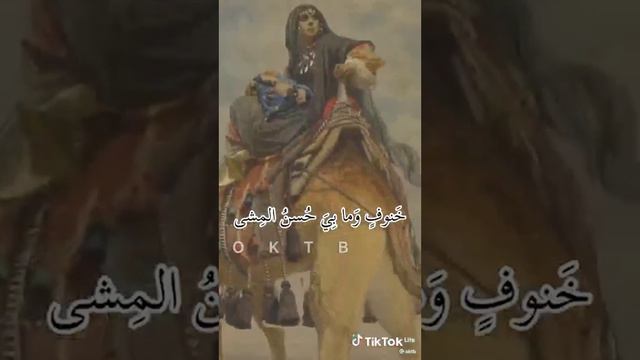 The original Arabic poetry of the poet Al-Mutanabbi