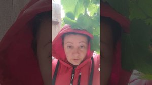 Мечты Алёны Полынь уничтожить пол мира