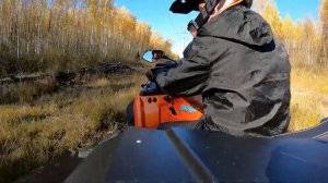 На квадроциклах по болотам! Нашли огромные грибы, где никто не ходит!