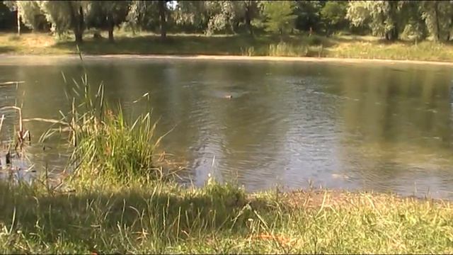 Мунго аппорт вода лето 2014 смотреть онлайн