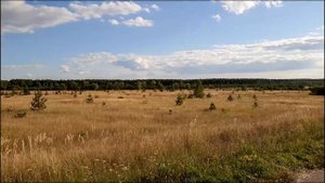 Как вымирают села. Кирдяшево, Наровчатского района, Пензенской области
