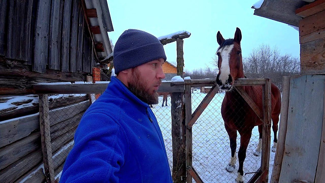 КАК ЖИВУТ ЛЮДИ В ГЛУБИНКЕ. ТРЕТЬЯ ЛОШАДЬ НА ХОЗЯЙСТВЕ. БАТЕК УШЕЛ НА ТУШЕНКУ. ЖИЗНЬ В ДЕРЕВНЕ