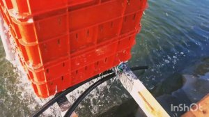 ➡️Запуск фильтра в пруду, фильтрация, обогащение кислородом, циркуляция воды в искуственном водоеме