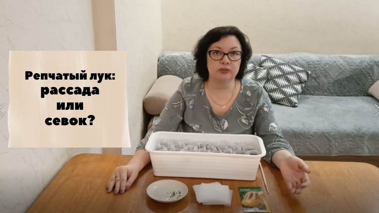 Репчатый лук через рассаду.