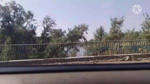 мы с басиком едем на море😼🌊2023🐾