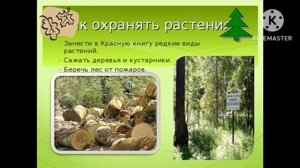 Красная книга родного края Петропавловская детская библиотека