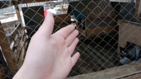 МНОГОДЕТНАЯ МАМА ДОМАШНИЕ ХОЗЯЙСТВА Нужна ваша помощь.