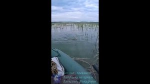 Отличный улов.