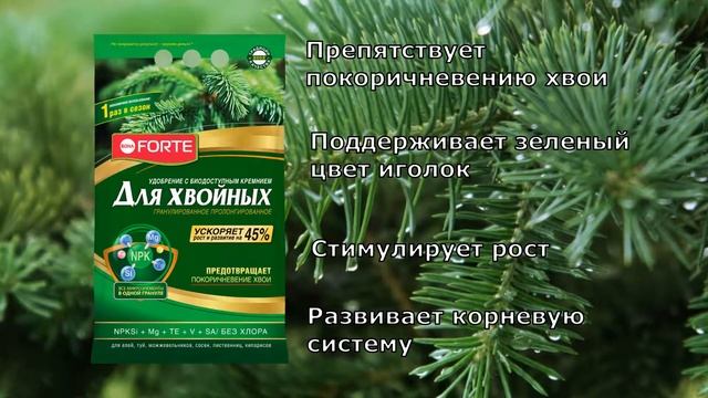 Удобрение Bona Forte для хвойных пролонгированное с биодоступным кремнием