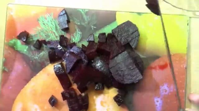 Салат со свеклой, сыром Фета и грецкими орешками??️Готовим #домавместе с #ЧудоПечка