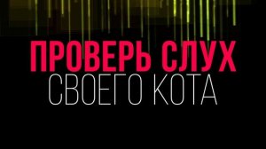 Ультразвук . Звук для кошек и собак. Раздражающие звуки