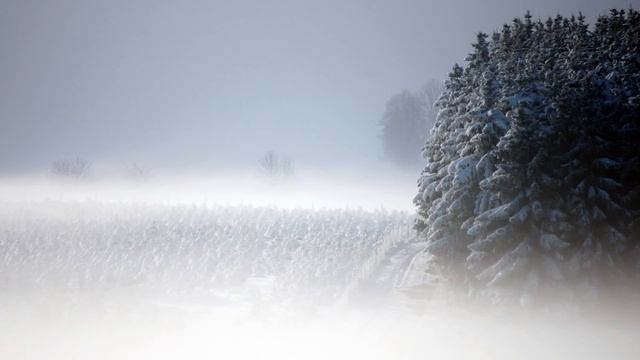 ? Метель | 10 часов