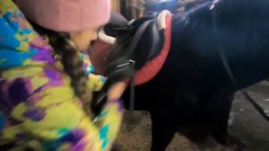 КВЕСТ ПО КОНЮШНЕ на День Рождения / Конный квест