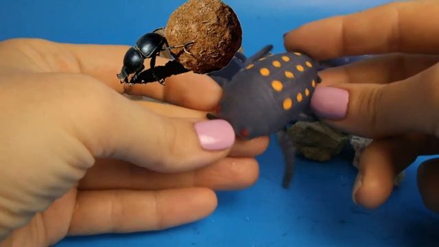 Big Animal World. Жуки и стрекозы. Вся коллекция! смотреть онлайн