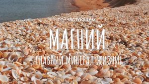 Магний - главный минерал жизни!