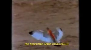 Ты из клетки выпустил меня