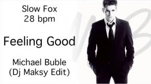 Slow Fox - Feeling Good