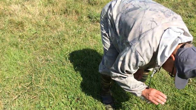 Платник (п.ВЫСОКИЙ). смотреть онлайн