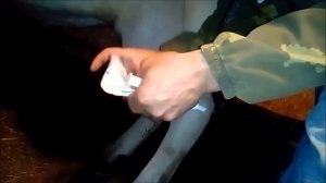 Как отправить корову в запуск, консервация вымени Байоклоксом