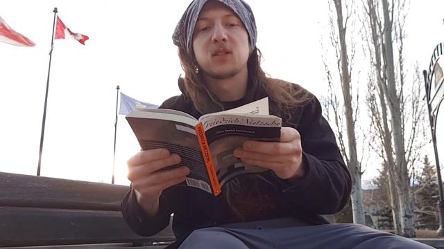 Kaufmann's Zarathustra - twelfth reading: On The New Idol