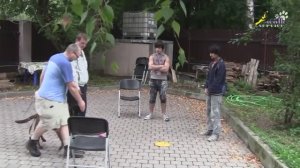 Дрессировка собак, как отучить щенка подбегать к чужим