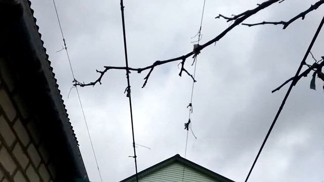 Ухаживаем за нашим садом смотреть онлайн