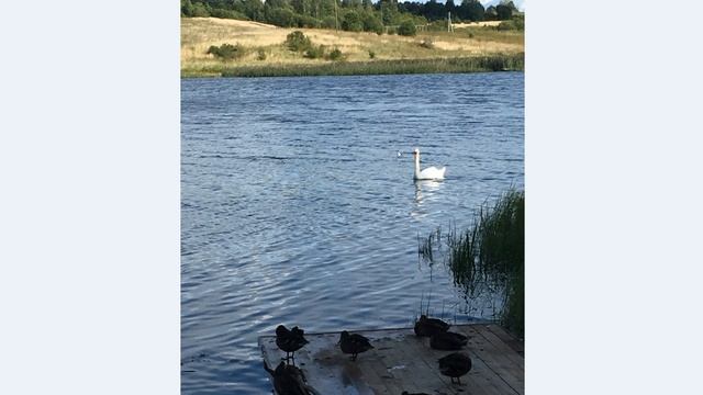 Маршруты ГеоСтратега. Псков-Изборск-Печоры #1 Изборск. Словенские ключи. Труворово городище смотреть онлайн