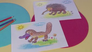 ✨Спокойной ночи, малыши✨  Анималист