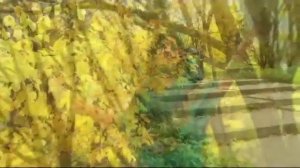 АЛЫЕ ЦВЕТЫ  Татьяна Иванова