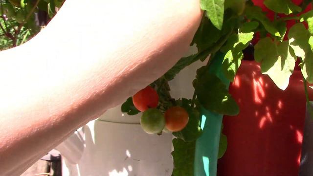 Tower Garden UPDATE! July 2022 смотреть онлайн