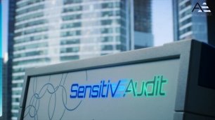 SensitivE Audit - система контроля за здоровьем!