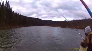 Усть-кабырза. Рыбалка на хариуса октябрь 2018.