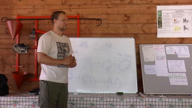 Курс «Зоология беспозвоночных», лекция 2, ЛЭШ-2018