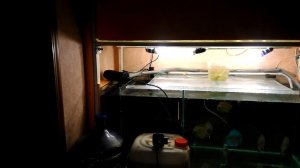 #УФ-лампа(#стерилизатор) Зачем она нужна в #аквариуме Установка в аквариум Часть #1