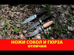 Ножи Сокол и Гюрза. Отличия. Компания Русский булат. Обзор. Видео ножей. VLOG