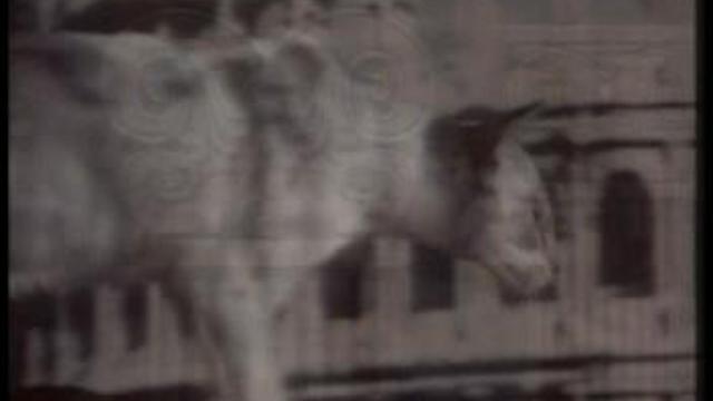 Кошки-Кошки и Фараоны смотреть онлайн