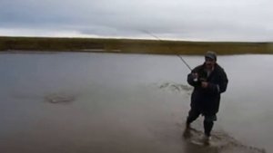 Ловля крупного хариуса в заполярье