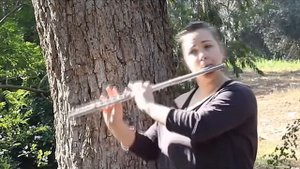 Музыкальные инструменты   Как звучат инструменты   Звучание инструментов   Musical Instruments