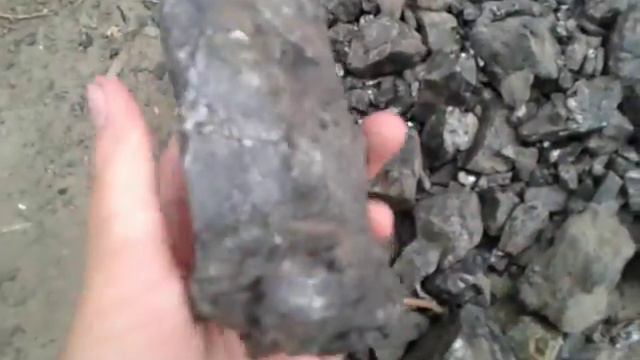 Нашли чорный уголь