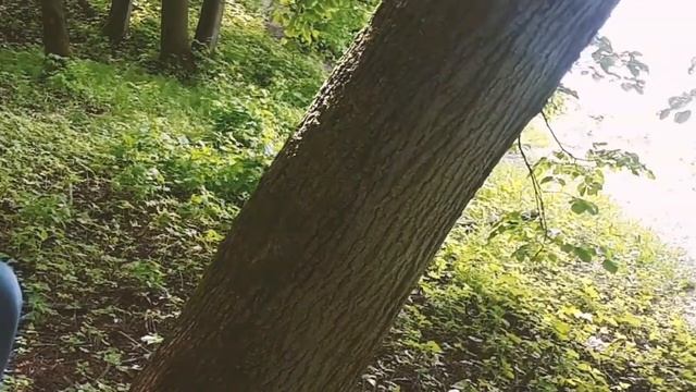 «Твои глаза» Ксении Зиновьевой смотреть онлайн